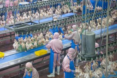 乳山預(yù)制菜企業(yè)實(shí)現(xiàn)年銷售額近10億元，飼料原料銷售雙輪驅(qū)動