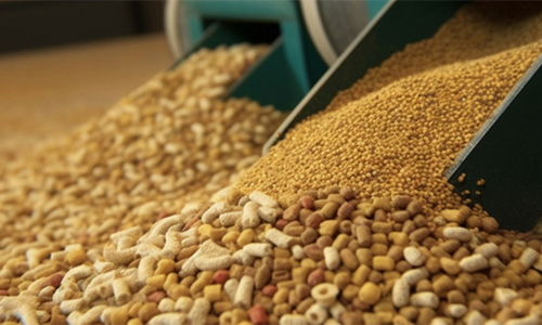 2024年豬飼料行業(yè)市場現(xiàn)狀、發(fā)展格局與原料銷售競爭趨勢展望